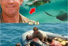 The TRAGIC Last Dive of Steve Irwin – Wildlife Conservationist and TV Host | HO!!
